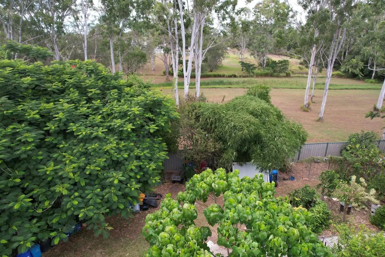 Maryborough'S Rainforest Retreat酒店 澳大利亚